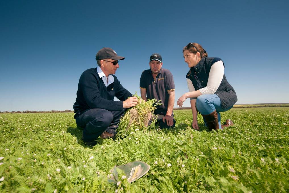 DPIRD research scientist Dr Angelo Loi (left), has worked with Craig and Anna-Lisa Newman, Varley, to support an extensive pasture renovation project.