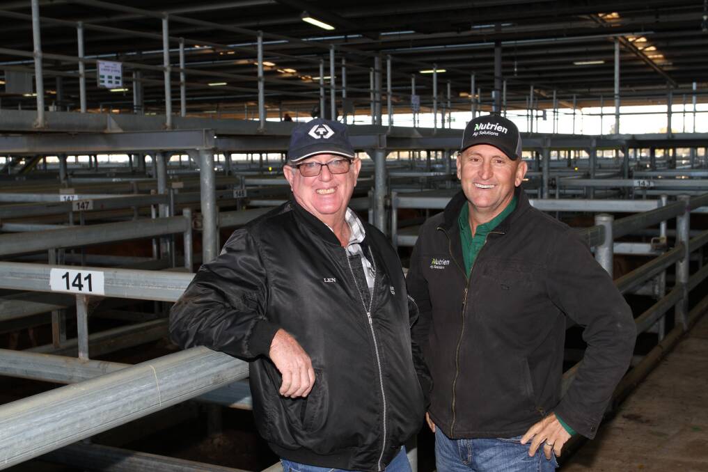 Len Hamersley (left), Busselton and Craig Walker, Nutrien Livestock, Mid West and Wheatbelt, looked over the yarding at the Nutrien Livestock store cattle sale at Muchea last week.