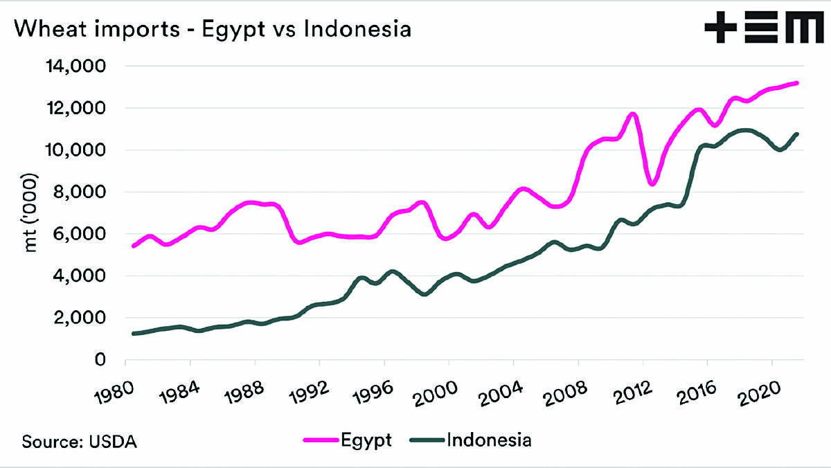 Chart 2: Indonesian wheat imports have been growing at a faster rate than Egyptian imports.