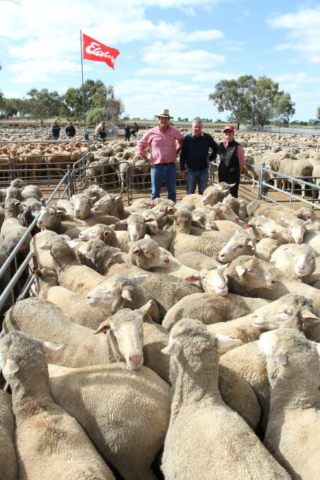The Flavel family, TW Flavel & Co, Dumberning, dispersed their 1.5-5.5yo August shorn, Nepowie blood ewe flock at the Wickepin leg of the sale which sold on AuctionsPlus to $272 for 389 2.5yo ewes. With the dispersal's 586 1.yo ewes that sold for $266 were Elders sale co-ordinator and Narrogin agent Paul Keppel (left), buyer and Elders commercial sheep manager Mike Curnick and Elders livestock 