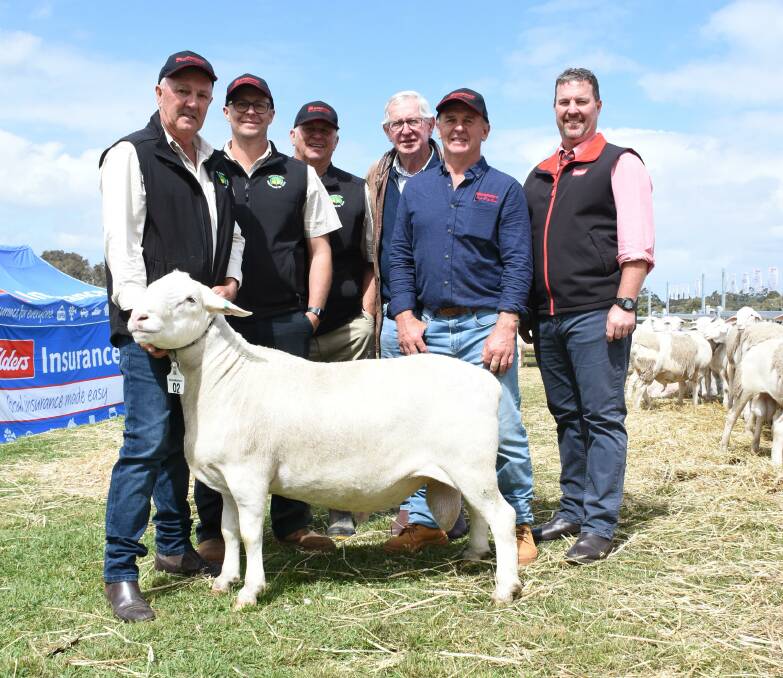 Prices hit a top of $90,000 this ram selling season for this SheepMaster ram offered by the SheepMaster parent stud, White Dog Lane, Elleker at last week's National SheepMaster ram sale at Elleker, making it the highest priced WA-bred ram of any breed sold at auction in WA since 1991. It was purchased by the Reed and Crabb family, Rainbows Rest stud, Dongara and Walkaway. With the ram were buyers Geoff Crabb (left) and Tristan and Des Reed, White Dog Lane stud's Neil Garnett and Brian Prater and Elders auctioneer Nathan King.