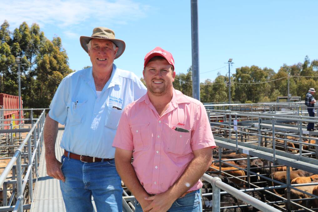 Gordon Atwell (left), Williams, purchased 180 cattle for his Welldon Beef feedlot and caught up with Elders, Busselton representative Jacques Martison.