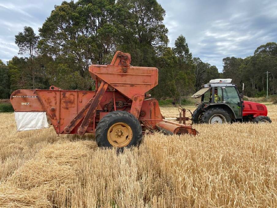 Benn Tully stripped his first crop of barley with this 587 Massey Ferguson harvester.