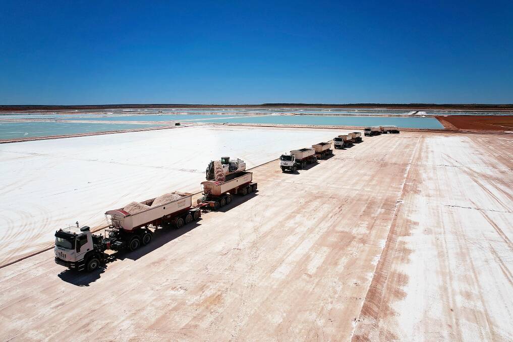 A convoy of trucks being loaded with raw harvest salts at the end of the evaporation ponds chain in the background where the salts are concentrated. The truck convoy carts harvest salts to be stockpiled next to the processing plant which is built off the salt lakes.