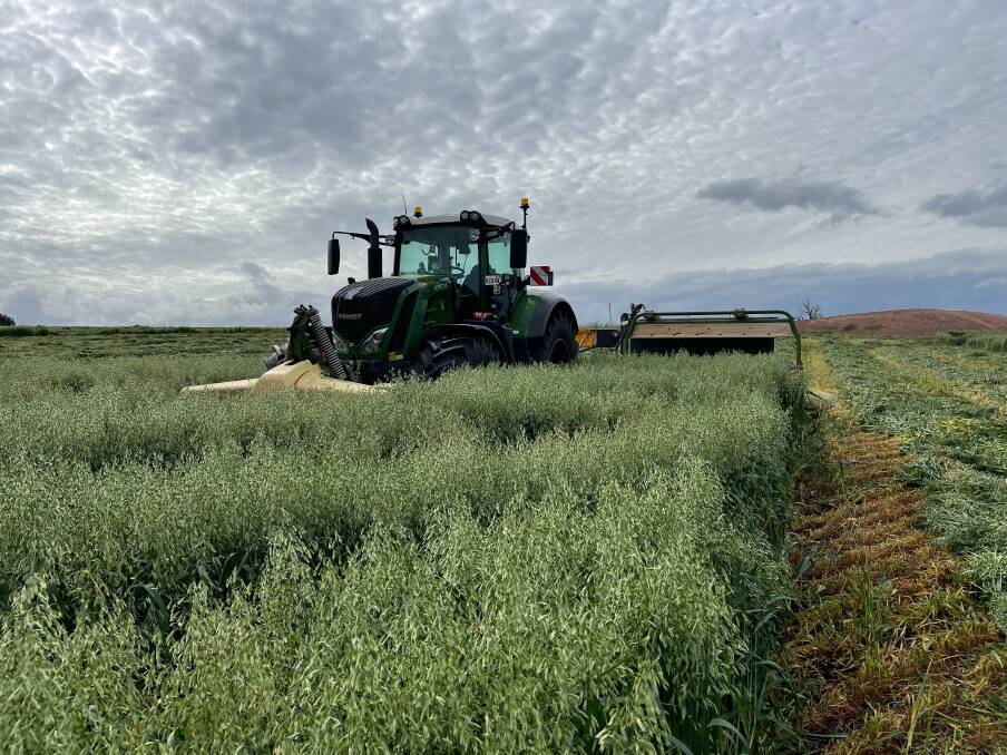 Oats are still being mowed for hay in Mt Barker, with canola still two weeks off swathing. "It will be in a row for 18 days before we can get to it with the header if we don't get bogged swathing," farmer Ben Hutton said. "It looks like harvest will start in the first week of December."