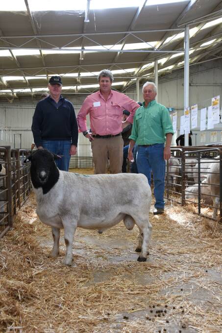 With the $6200 top-priced Dorper ram which sold to a New South Wales buyer operating through AuctionsPlus at last week's Kaya Dorper and White Dorper Production Sale at Narrogin were Kaya stud principal Adrian Veitch (left), Elders, Narrogin agent Paul Keppel and Nutrien Livestock, Narrogin agent Ashley Lock.