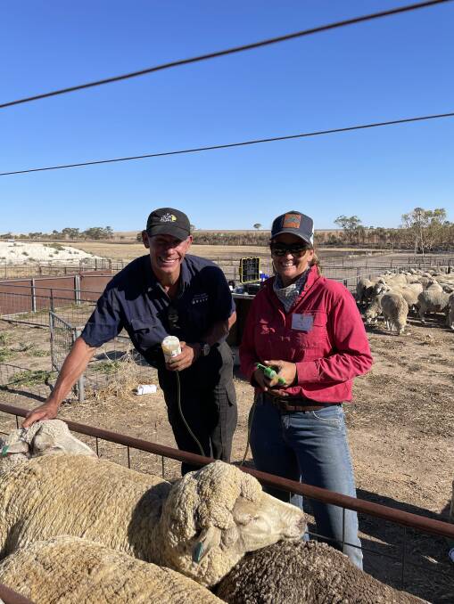 David Wrighton, of Western Australian Meat Industry Authority, and Holly Ludeman, Emanuel Exports, were among the team of veterinarians who volunteered their services to farmers affected by the bushfires. 