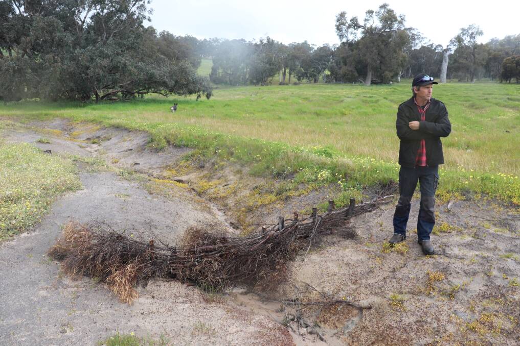 Mr Pensini has set up three, handmade weirs on the southern slope of a valley on the property in the hope it will help address a large salt scour (right) above areas of waterlogging. He has also installed a series of 35 centimetre contour banks, bands of tree plantings and fenced off a soak, remnant and recovering bushland and the creekline as part of the trial to use and monitor a new landscape rehydration plan. 