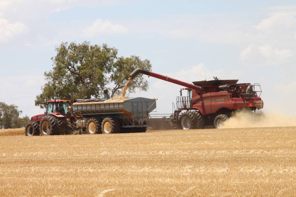 Border restrictions, along with big crops, is expected to test Australia's grain supply chain.