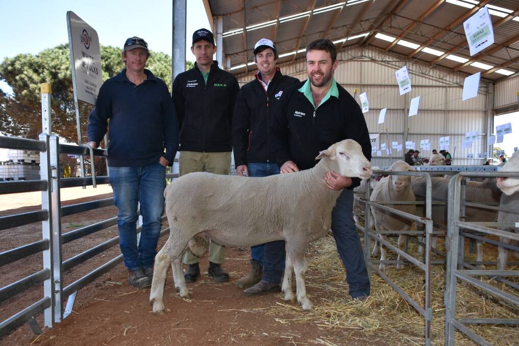 In the White Suffolk offering prices hit $2100 for this sire which was purchased by the Fowler family, Chilwell, Condingup, as part of a team of 25. With the ram were buyer Simon Fowler (left), Nutrien Livestock Wickepin agent Ty Miller, Kolindale co-principal Luke Ledwith and Nutrien Livestock Esperance representative Jake Hann.
