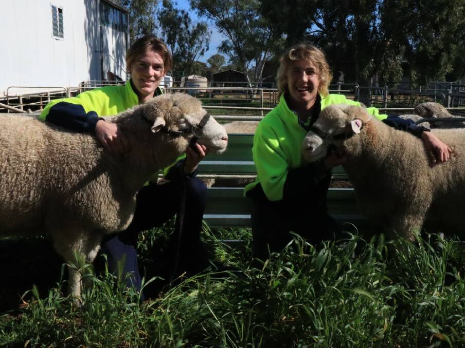 WACOA, Cunderdin, Year 12 students Aaron Cuthbertson (left) and Jack Waters with Poll Dorset rams that were in the college's annual ram sale.