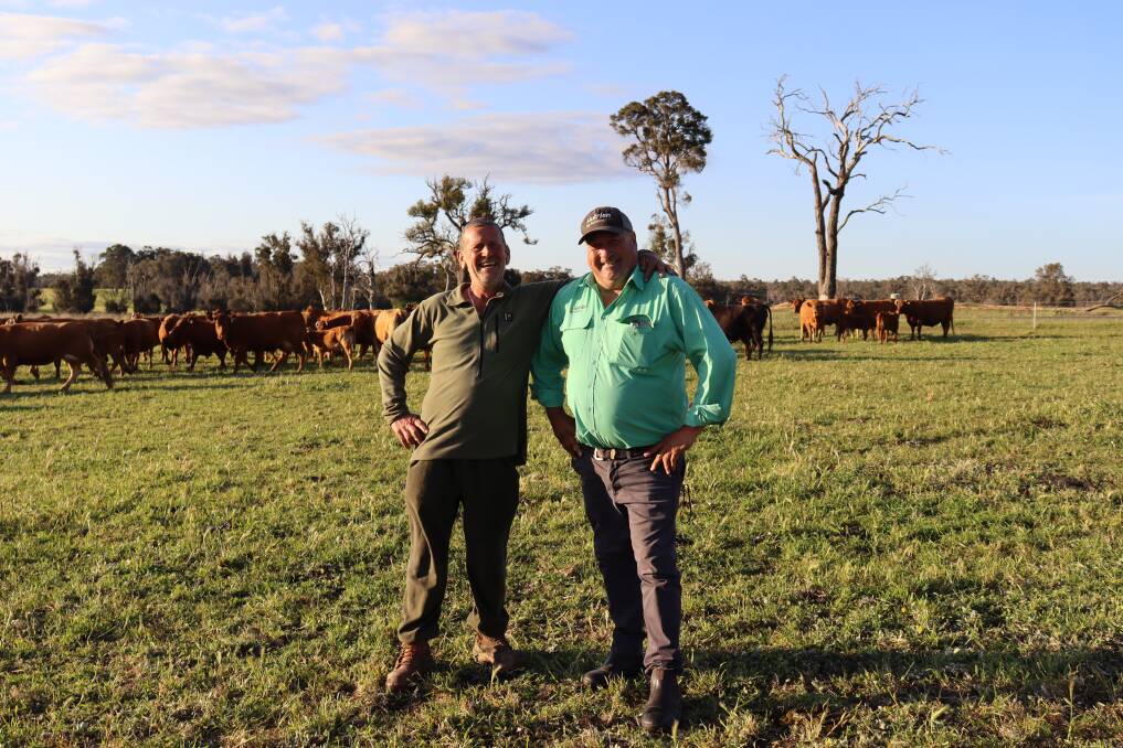 Collie cattle farmer David Rees (left), with Nutrien South West WA livestock manager Peter Storch, at the Western Beef Association's 2021 Spring Field Day.