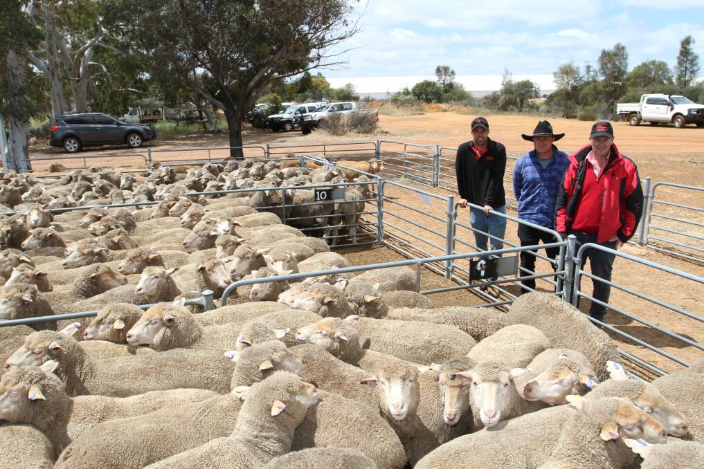 With the $256 top-priced line of 218 May shorn, Kamballie blood, 1.5yo ewes offered by RG & DJ Maddock, Bonnie Rock, at the Corrigin leg of the circuit sale were the Maddock's livestock agent Mitch Clarke (left), Elders Merredin, buyer Matthew Gardiner, Mumballup and Elders Corrigin branch manager Tony Carew-Reid.