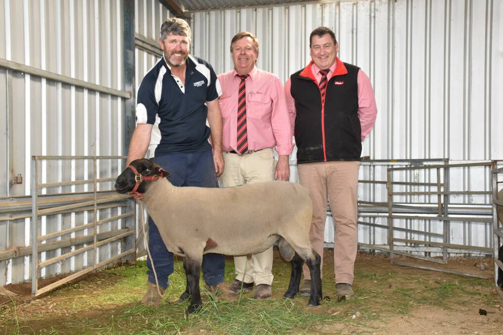 Justin Duff, Cheeryna stud, Williams, holds the $2400 top price Suffolk ram sold at the stud's sale last month. With him were Elders auctioneer Graeme Curry and Elders stud stock manager Tim Spicer, who bought the ram on behalf of Tarryn Gray, Tarlinga stud, Kirup.