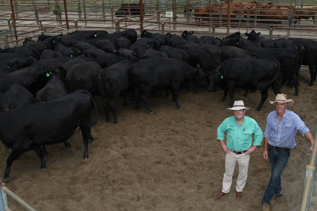 Volume buyer Jamie Abbs (left), Nutrien Livestock, Boyup Brook and Nathan Mead, Balingup, with the 56 Angus-Friesian heifers they selected for a Balingup order costing from $2900 to $3200.