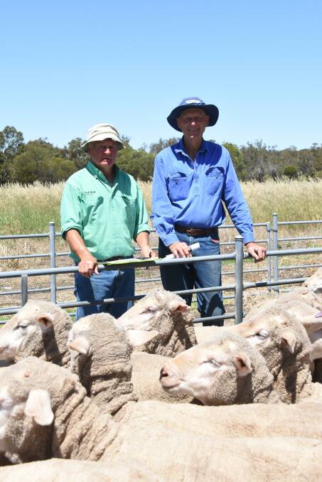 Nutrien Livestock, Narrogin agent Ashley Lock (left) congratulated vendor Gary Lorrimar, BH Styles & Partners, Highbury, on selling his line of 351 October shorn, Darijon blood, 1.5yo ewes for $208. Mr Lock purchased the line for Nutrien Ag Solutions, Echuca, Victoria.