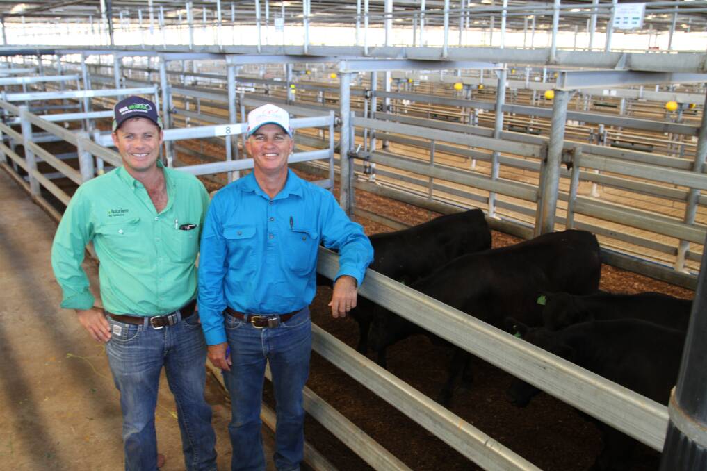 Nutrien Livestock pastoral agent Shane Flemming (left), WA Rural and volume buyer Dean Ryan who purchased 493 head of cattle for his own Central StockCare account and export and Eastern States orders at the Nutrien Livestock store cattle sale at the Muchea Livestock Centre last Friday.