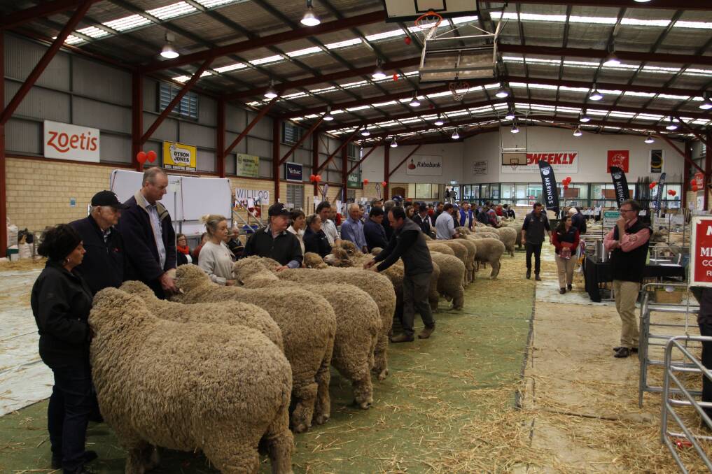 WA Sheep Expo & Ram Sale is back