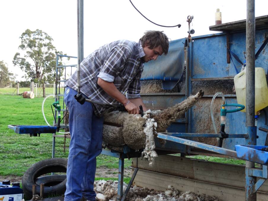 Brothers and fourth-generation farm managers James and Hamish (pictured) Campbell continue to employ the latest breeding techniques to maximise genetic gain in about 20 members' flocks.