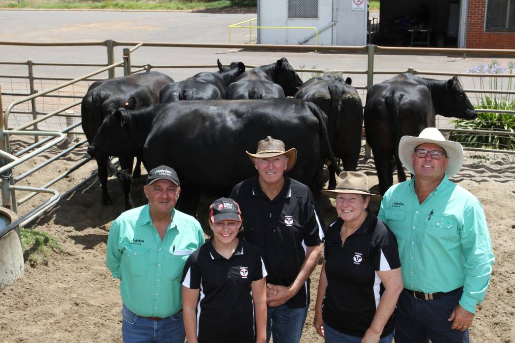 Volume vendor NL & E Haddon, Yoongi Downs dairy, Busselton, offered 138 Angus-Friesian heifers PTIC to Angus bulls which sold to the sale's $3500 top price twice at the annual Nutrien Livestock Mated F1 Female sale at Boyanup last week. With one of the pens of six heifers that sold for the $3500 equal top price to Nannup Fresh Fruit, Nannup, were Nutrien Livestock sale co-ordinator and Peel representative Ralph Mosca (left), vendors Neville and Elaine Haddon and their granddaughter Chloe Mildwaters and Nutrien Livestock auctioneer and Capel agent Chris Waddingham representing his client who purchased the heifers.