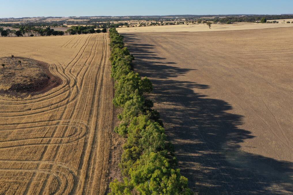 Attractive farming property up for auction