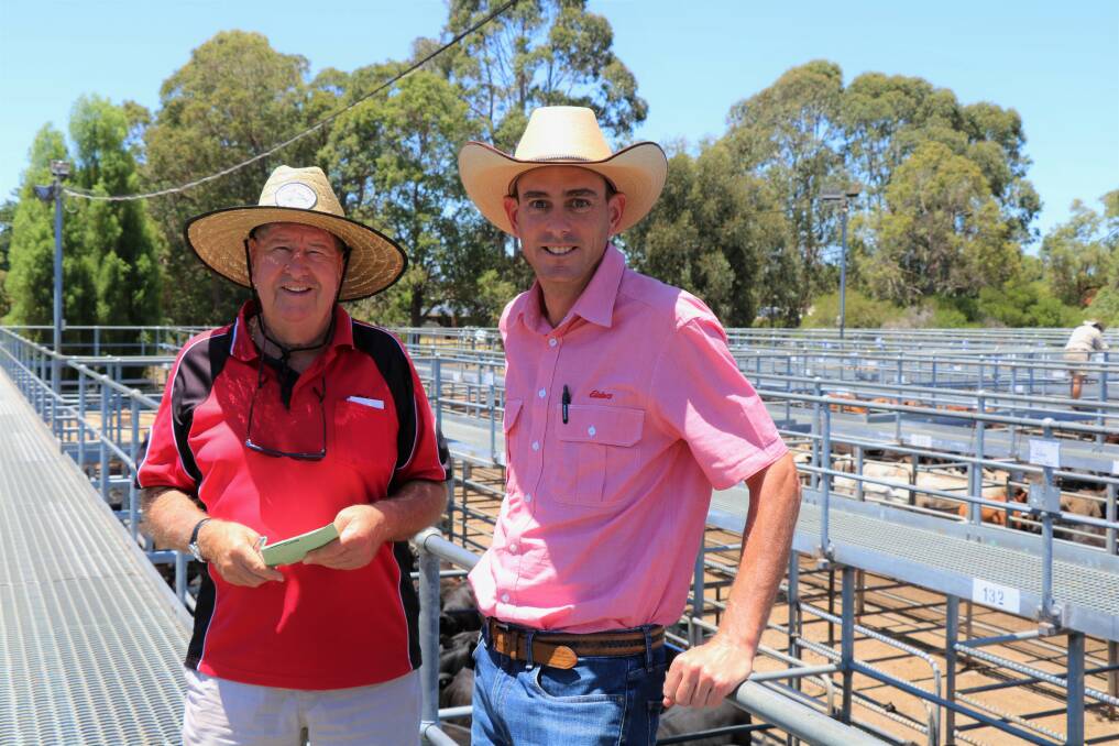 Elders, Nannup agent Terry Tarbotton checked out the weaners in the sale with Elders South West livestock manager Michael Carroll.