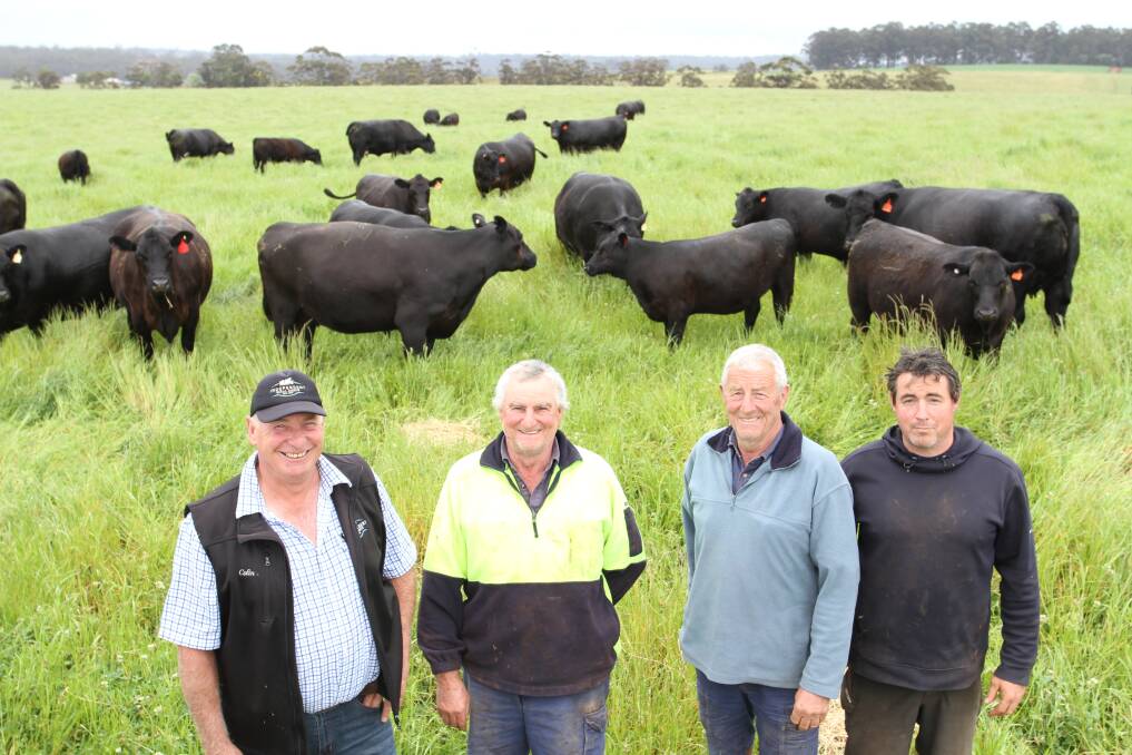 Independent Rural Agents (IRA) Pemberton principal and AuctionsPlus level one professional assessor Colin Thexton (left), with original sale vendors of 30 years Peter, John and Jason Bendotti, G & B Bendotti, Pemberton, with some of the Bendotti family's Angus cows and calves. G & B Bendotti will offer 160 mixed sex Angus weaners at the 30th anniversary IRA elite weaner, vealer and breeder sale to be held on AuctionsPlus on Monday, December 6.