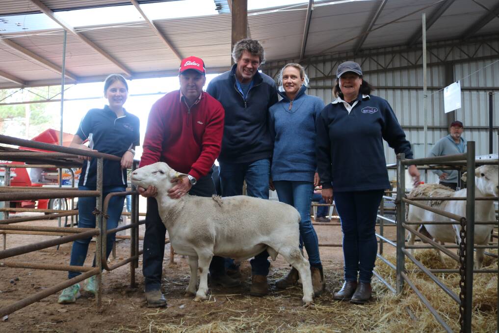 Sophie Greenup (left), 12, Elders Kojonup branch manager, Cameron Grace, top-priced Western White Shedders and equal top-priced White Dorper buyers James and Rebecca Raffan, Hill River and Ida Vale co-principal, Tamesha Gardner, with the $4000 top-priced Western White Shedders ram the Raffans purchased.