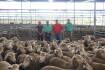 2.5yo ewes sell to $268 at Katanning sale