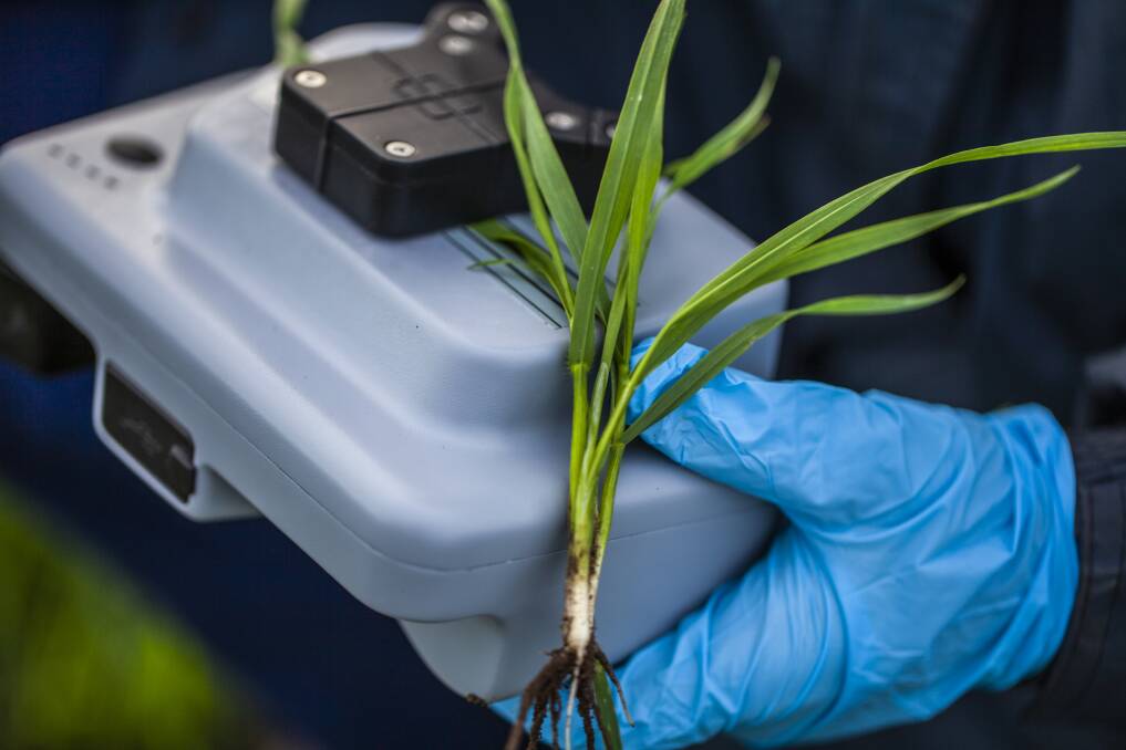 It combines soil and plant sampling and analysis, in-season nitrogen testing and season-end grain analysis for a complete picture of crop nutrition.