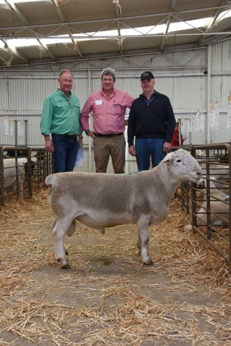 This White Dorper ram topped the Kaya Dorper and White Dorper Production Sale at Narrogin last week when it sold for $6400 to a New South Wales buyer operating on AuctionsPlus. With the ram were Nutrien Ag Solutions, Narrogin branch manager Graham Broad (left), Elders, Narrogin agent Paul Keppel and Kaya stud principal Adrian Veitch.