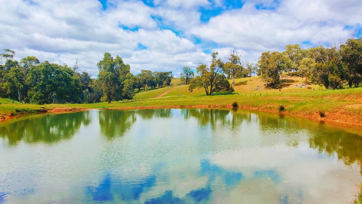 In a sign of the times, Nutrien Harcourts WA sales representative Adam Shields sold the 626.3 hectare Rosalie Grazing Co at Lower Chitering well above the asking price of $7 million late last year. Agents see a tight market, with low rates of farmland coming onto market, and high demand from cashed-up and motivated buyers as being the stand-out features of the rural real estate market for 2022.