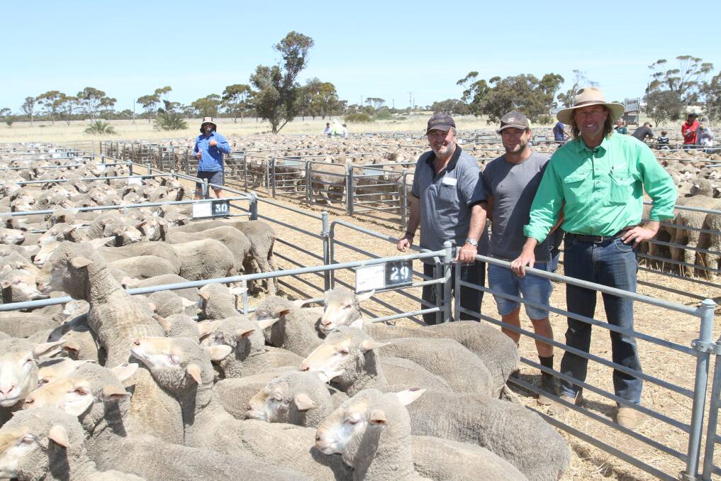 Vendors Terry (left) and Steven Coleman, SG Coleman, Cunderdin and Nutrien Livestock, Wheatbelt agent Rex Luers, Livestock & Land, with the Coleman's 1.5-year-old ewes that sold for $245 to Mitch Clarke, Elders Merredin, as part of the family's complete flock dispersal of 1.5yo-4.5yo August shorn Cardiff/Cadonia Park blood ewes.