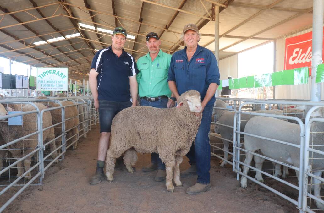 Mathew Gould (left), Chapman Valley, Nutrien Livestock representative Murray Paterson, and Wynarling stud principal Les Sutherland with the studs $4100 top-priced ram at the annual Chapman Valley Breeders Ram Sale.