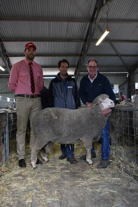 Prices hit a high of $3600 for this Poll Merino ram at the Claypans on-property Poll Merino ram sale at Corrigin earlier this month. With the ram were Elders auctioneer and Corrigin livestock representative Steele Hathway (left), buyer Lindsay Johnson, EP Johnson & Co, Wagin and Claypans co-principal Philip Bolt.