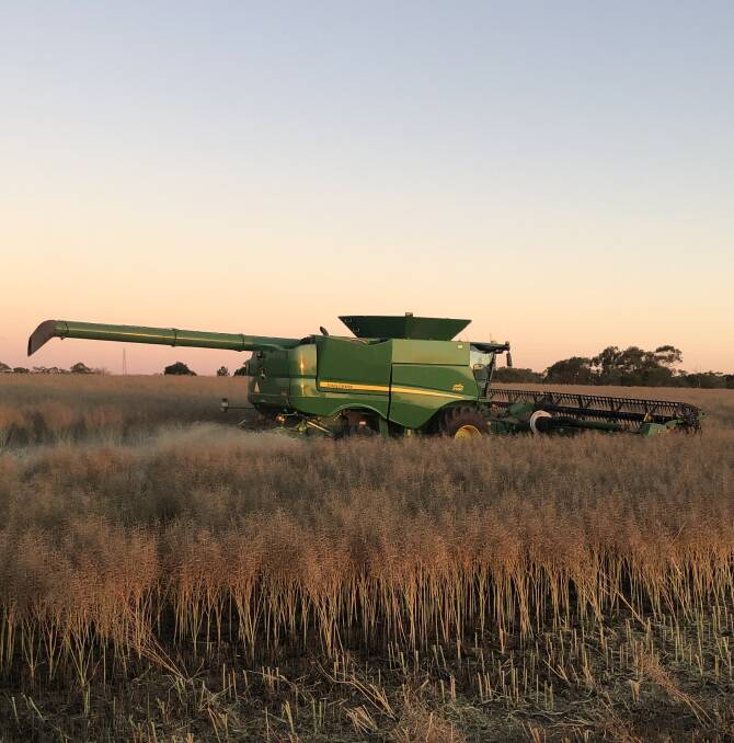 This year, the 22ha was all seeded to canola, a decision made by Daybreak Cropping that has paid huge dividends given the soaring prices being fetched.