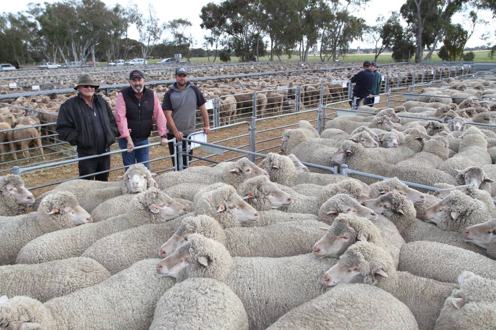 Values at the Elders Corrigin and Wickepin Top of the Drop Special Ewe sale last week reached a top price of $286 in the Wickepin leg. With the 220 February shorn, East Mundalla blood, 3.5-year-old ewes offered by Davidson Farms, Kukerin, were East Mundalla stud co-principal Philip Gooding (left), Tarin Rock, Elders commercial sheep manager Dean Hubbard and buyer Ryan Taylor, Krool Holdings, Kukerin.