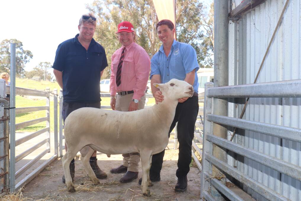 With one of the top-priced Poll Dorset ram selling for $1600 bought by Murray Valley, Forest Hill, is Brad McLean (left), with Elders Albany representative David Lindberg and Ridgetop stud principal Denam Carter.