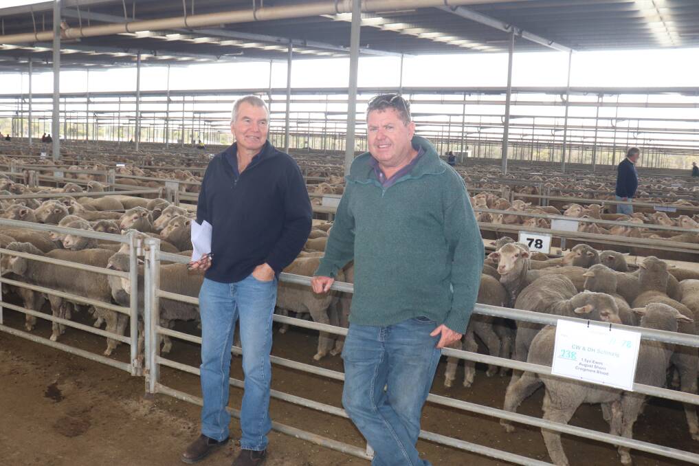 Henry Kippin (left), Nyabing and Peter Holmes, Broomehill, caught up before the sale at Katanning.