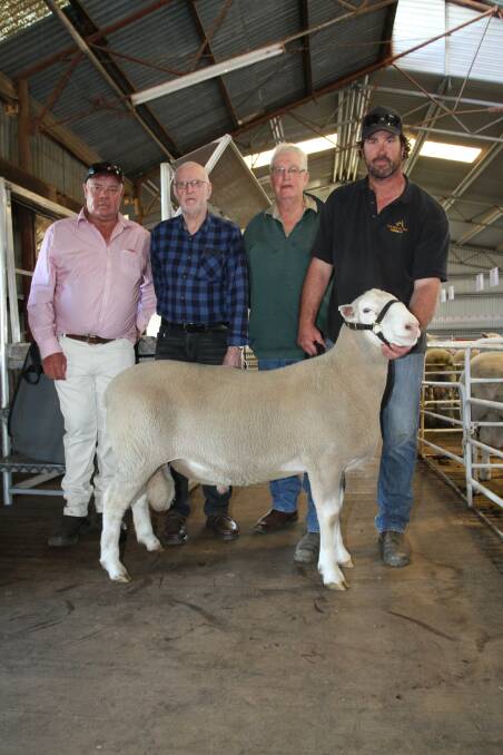 With the $5000 top-priced ram that sold to the Yaminga White Suffolk stud, Borden, at the annual Golden Hill White Suffolk on-property ram sale at North Kukerin were Elders Lake Grace-Dumbleyung agent Graeme Taylor (left), Yaminga stud adviser John Banks, Albany, buyer Brian Burrows, Yaminga stud and Golden Hill stud principal Nathan Ditchburn.