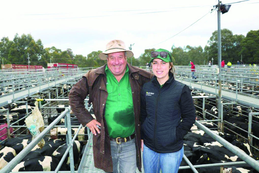 Nutrien Livestock South West livestock manager Peter Storch on the rail with new Nutrien Livestock commercial cattle manager Skye Ogerly before the strong Boyanup sale.