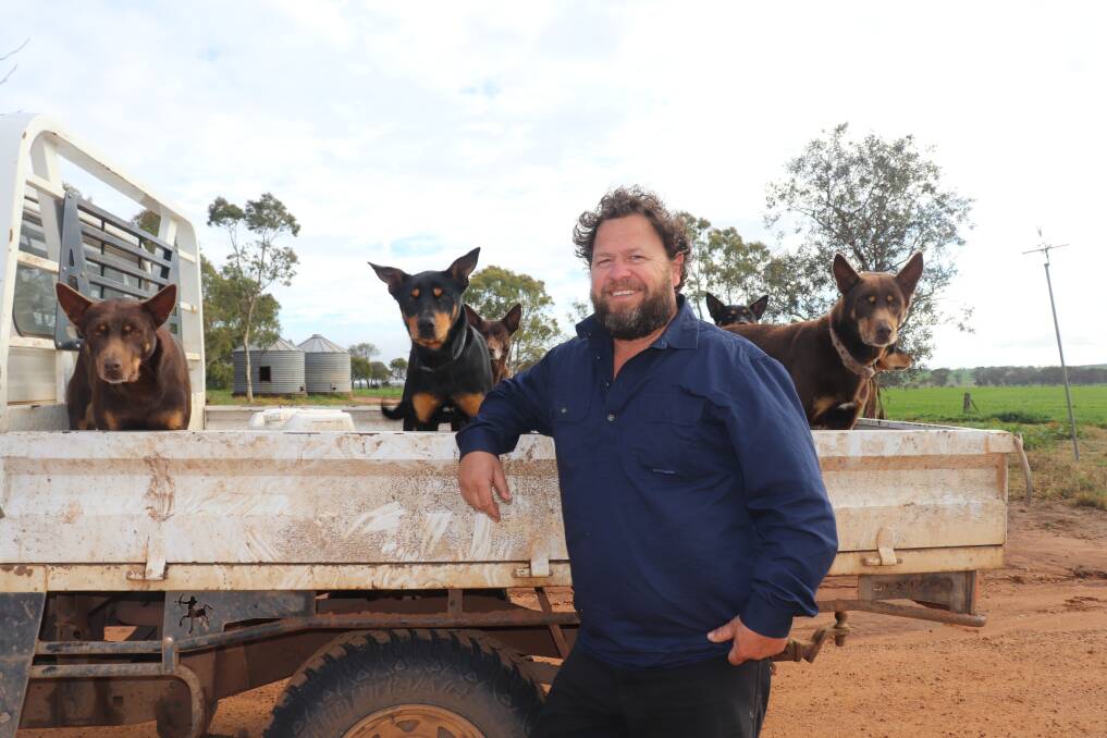 Chairman of the independent WoolPoll 2021 panel, Corrigin woolgrower and Claypans Merino stud co-principal Steven Bolt, is urging every eligible woolgrower to have their say on the wool levy rate by voting in WoolPoll later this year.