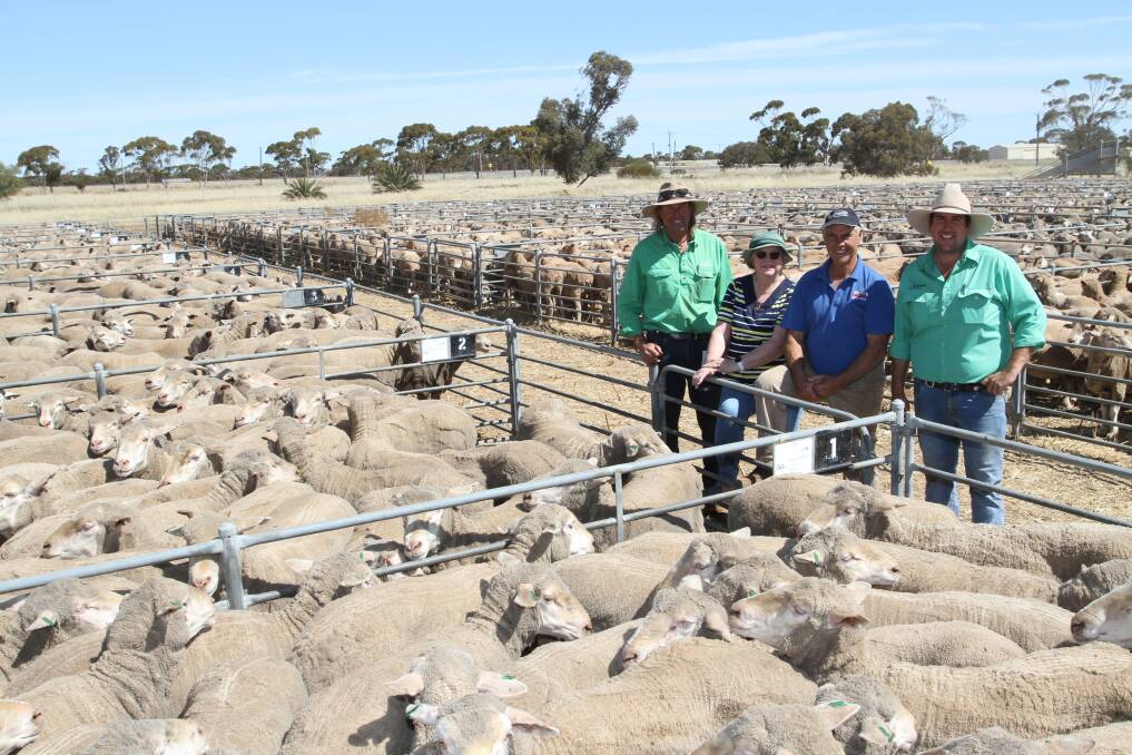 The final stage flock dispersal of Caffell & Sons, Tammin, 2.5-year-old and 3.5yo ewes was among the feature drafts at the Merredin leg of the Nutrien Livestock annual circuit sheep sale last Thursday. With the $285 top-priced line of 262 September shorn 2.5yo Manunda blood ewes that sold to McKean McGregor, Bendigo, Victoria, were Nutrien Livestock, Wheatbelt agent Rex Luers (left), Livestock & Land, vendors Louise and Gary Caffell and sale auctioneer Jarrad Hubbard, Nutrien Livestock, Narembeen.