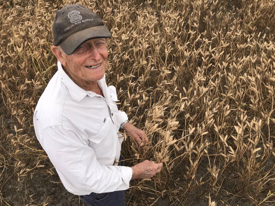 This year, Mr Blumann's lupins averaged over four tonnes a hectare and in the past have reached as high at 6t/ha.