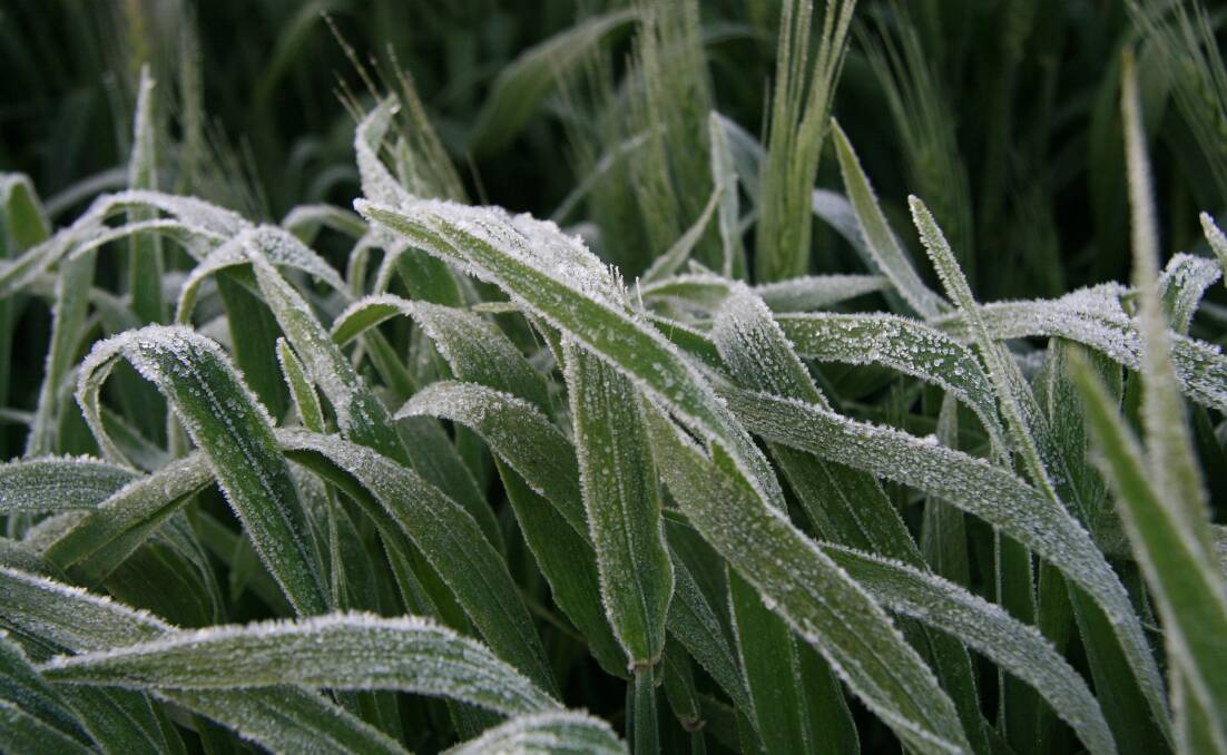Reducing the impact of frost and heat onfarm