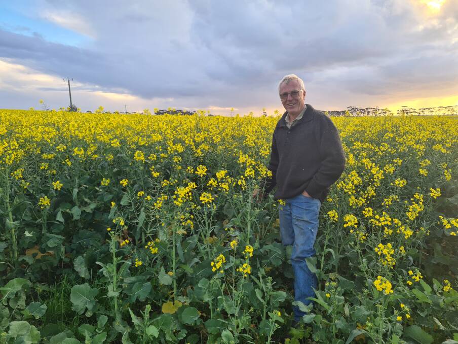 South Stirlings farmer Derek Curwen seeded this canola on March 12 and said it is looking a lot better than all of the stuff that went in in the middle of the wet.
