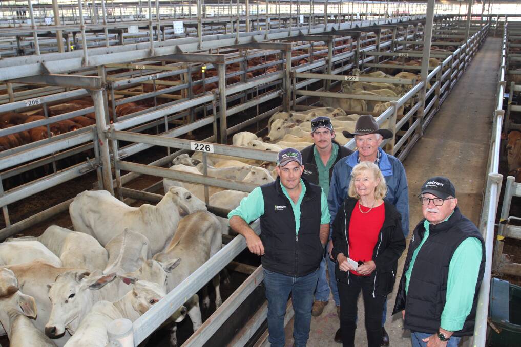 Leno Vigolo (left), WA Rural, Nutrien Livestock Central Midlands and Wheatbelt, Nutrien Livestock trainee Jack Tierney, buyers Allan and Thea Rice, Minga Flats, Harvey and Roger Leeds, WA Rural, Nutrien Livestock pastoral, with the 17 Brahman heifers averaging 299kg from Bettini Beef, De Grey station, Port Hedland, purchased by Minga Flats for $1345 at 450c/kg.