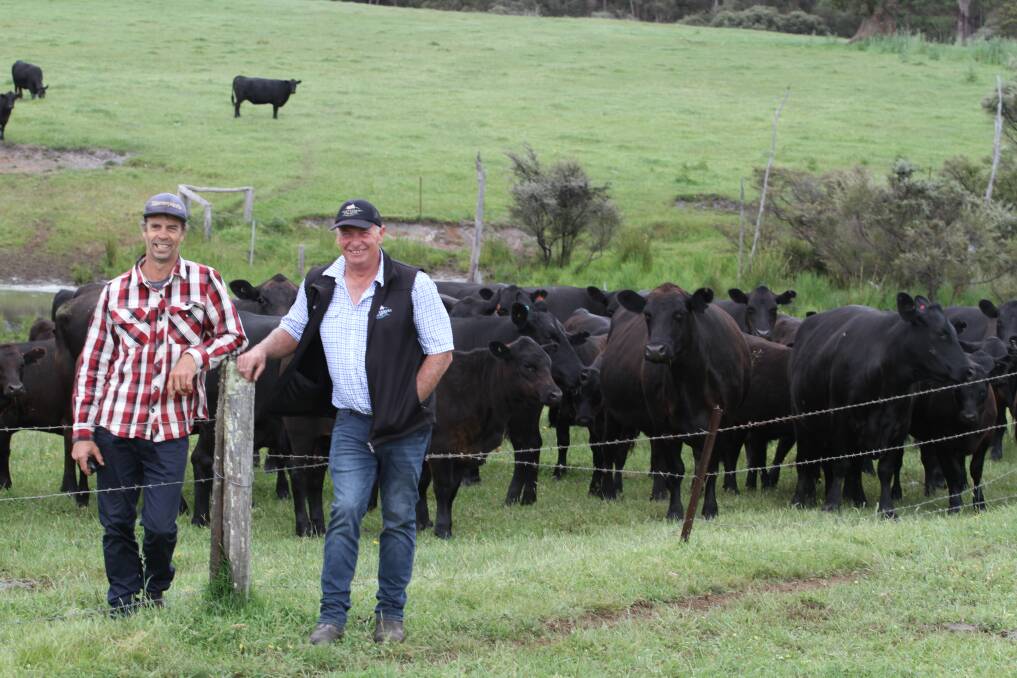 DA MacDonald and CM Iversen, Northcliffe, will offer 100 April-May 2021 drop mixed sex Angus weaners. With some of the MacDonalds' cows and calves were vendor Dave MacDonald (left) and Colin Thexton.
