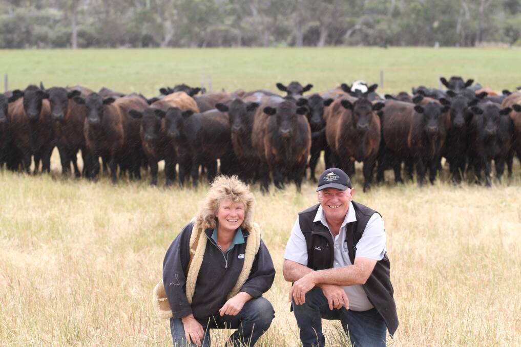Henderson Glendale, Mayanup, will offer 140 mixed sex March-April 2021 drop mainly Angus weaners and Angus-Angus/Hereford cross and Shorthorn-Angus weaners. With some of the calves were vendor Jo Melville, Henderson Glendale and IRAs Colin Thexton.