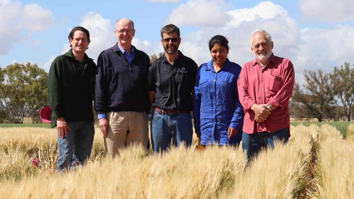 The DPIRD sodic soils research team of Wayne Parker (left), Glen Riethmuller, David Hall, Rushna Munir and Ed Barrett-Lennard.